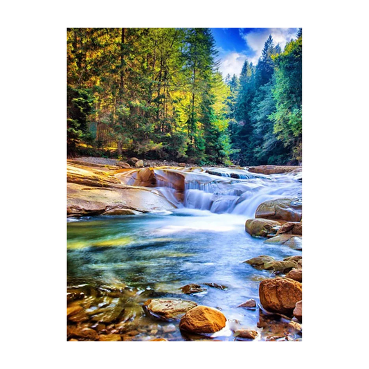 Professional canvas cover