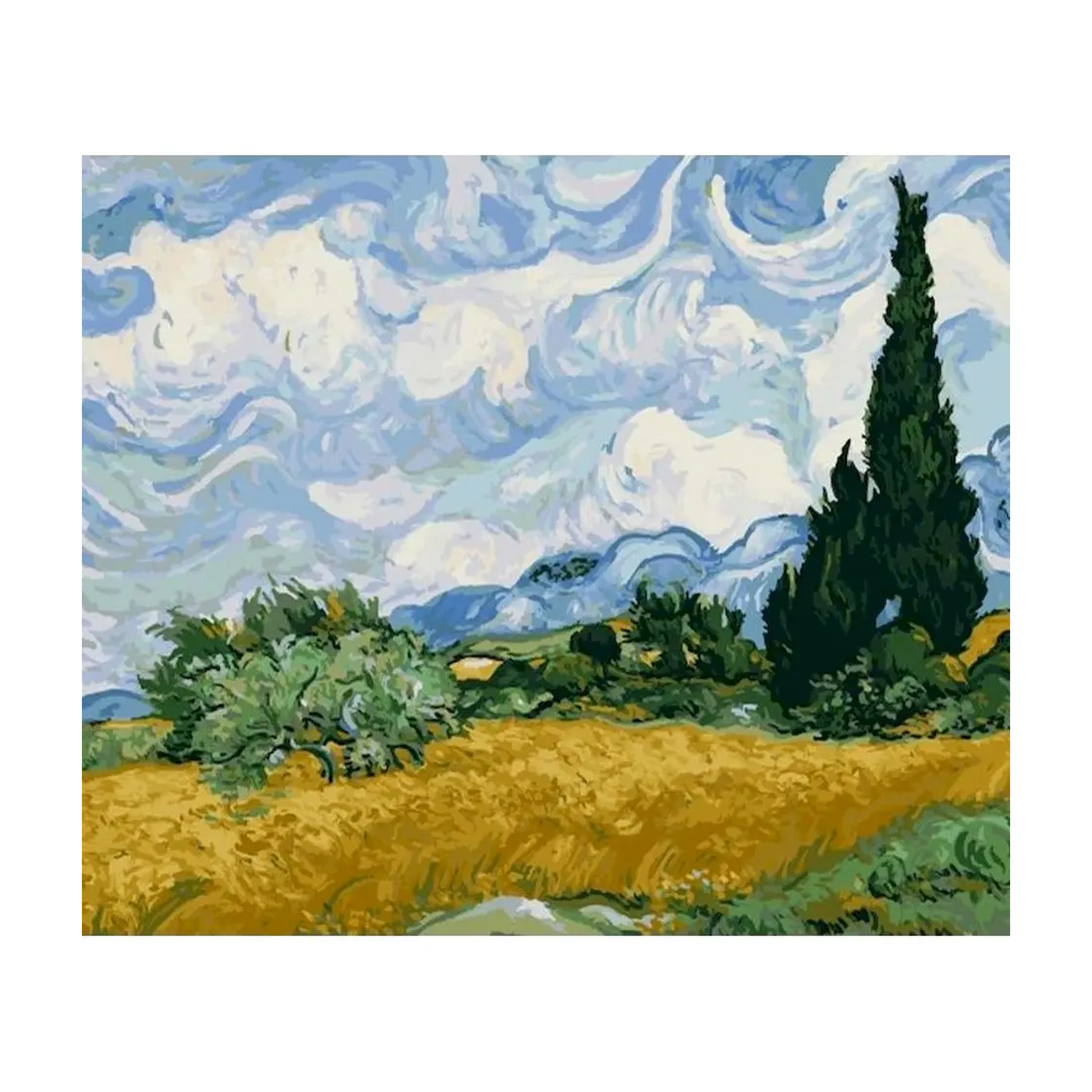 Professional canvas cover