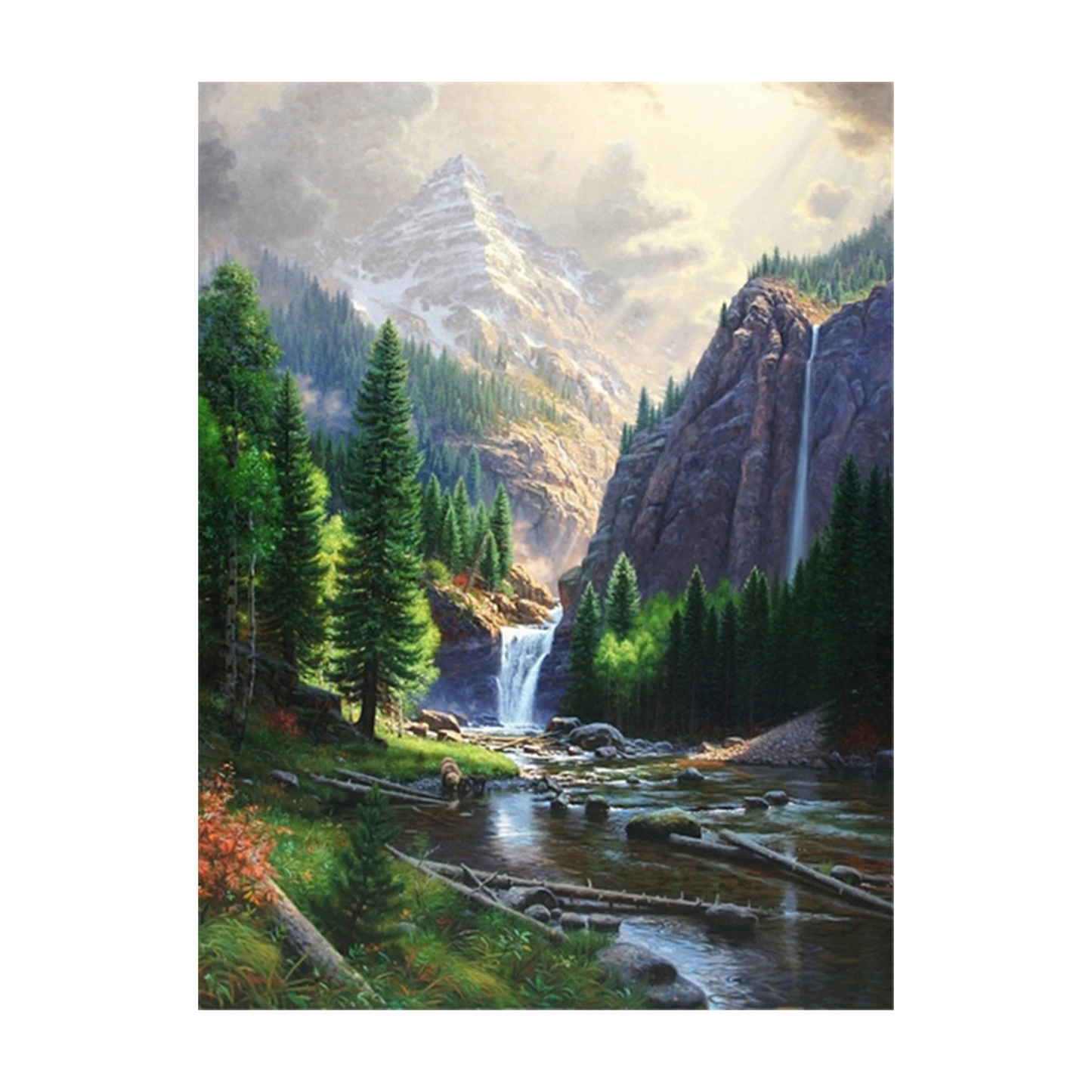 Professional canvas cover