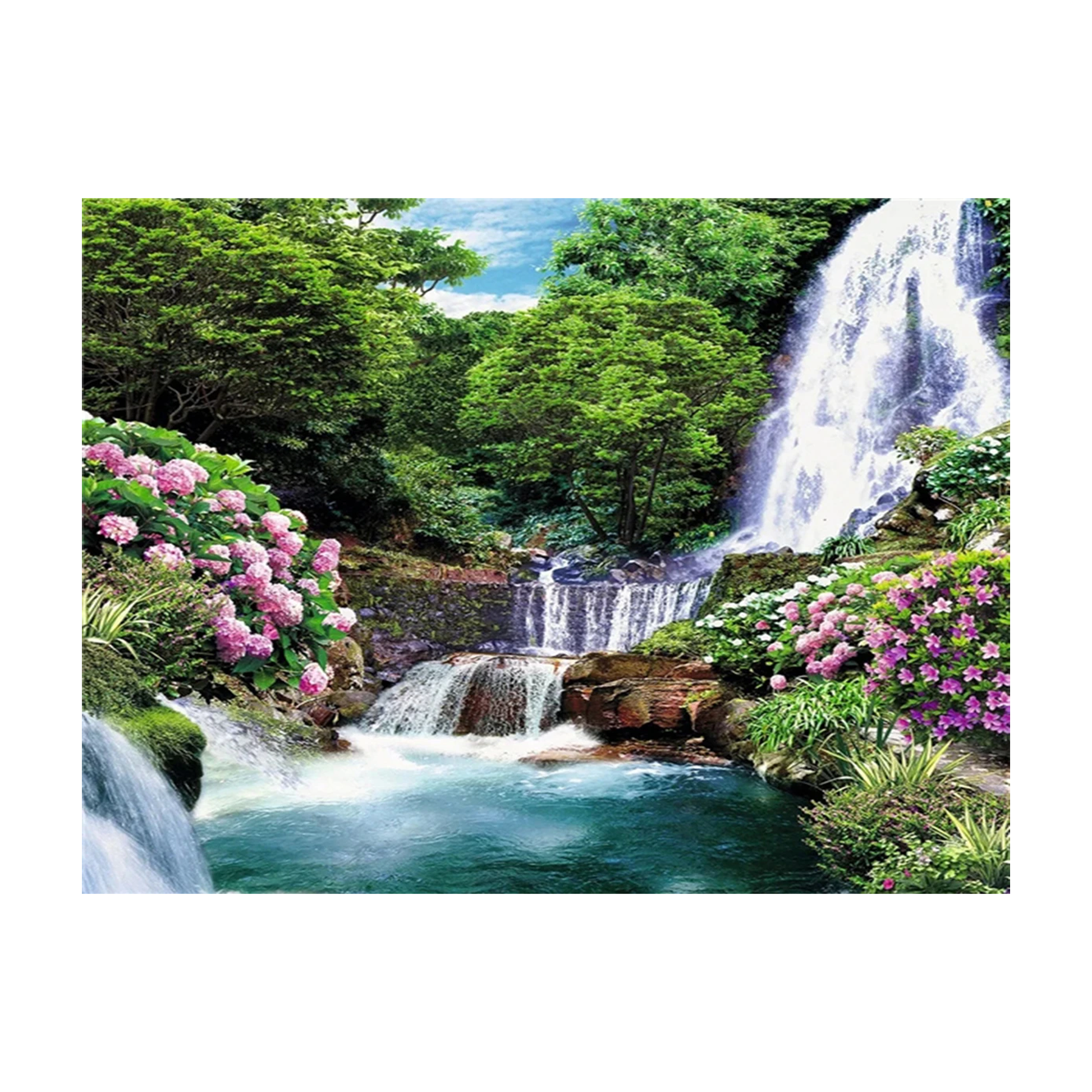 Professional canvas cover
