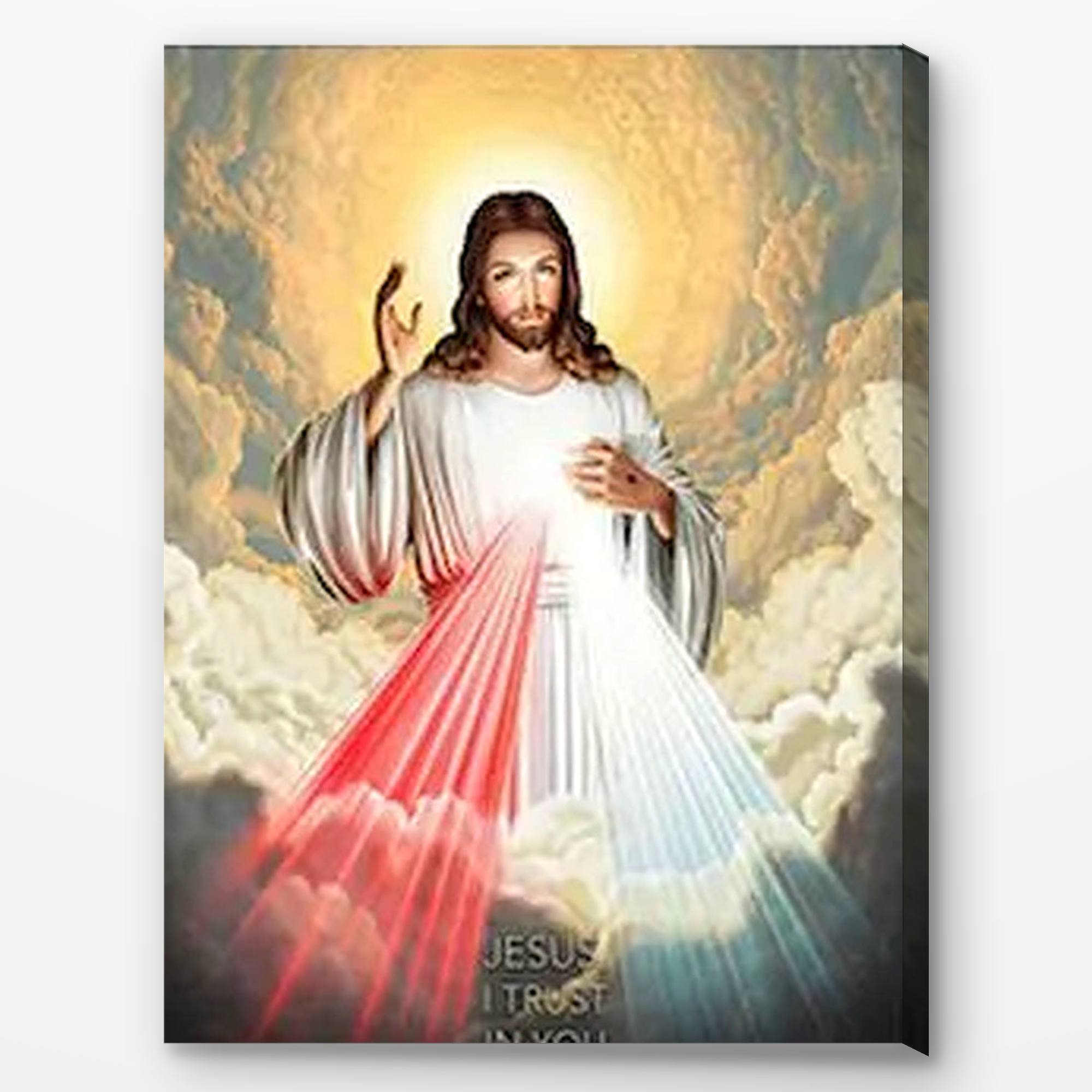 SimpleArt Divine Mercy Jesus — gallery role 1: 01-professional-cover